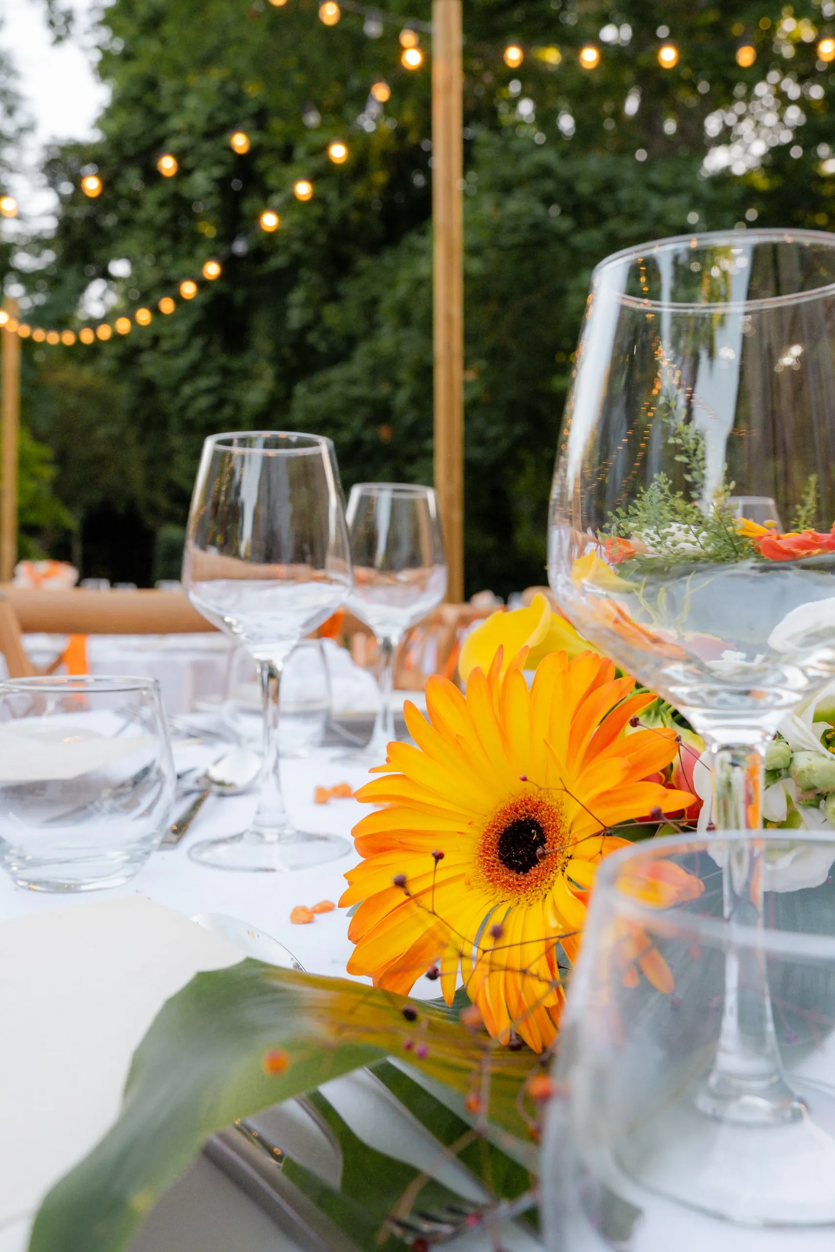 Une table du dîner, gerbera jaune et verres, sous les guirlandes